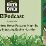 Why Weed-Free Horse Pastures Make Horses Sick