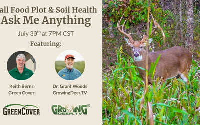 Fall Food Plot Strategies: Summer vs. Fall Release Blends for Deer