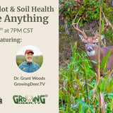 Fall Food Plot Strategies: Summer vs. Fall Release Blends for Deer