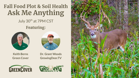 Fall Food Plot Strategies: Summer vs. Fall Release Blends for Deer