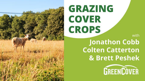 Grazing Cover Crops with Cattle, Sheep, and Pigs: What Works and Why