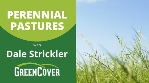 Establishing and Diversifying Perennial Pastures