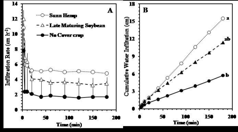 Will a Cover Crop Use Up All My Moisture?