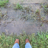 Are You Capturing God’s Gift of Late Season Rains?