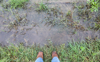 Are You Capturing God’s Gift of Late Season Rains?