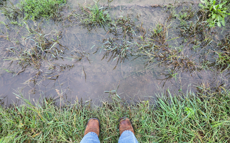Are You Capturing God’s Gift of Late Season Rains?