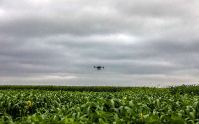 How to Successfully Drone Seed a Cover Crop