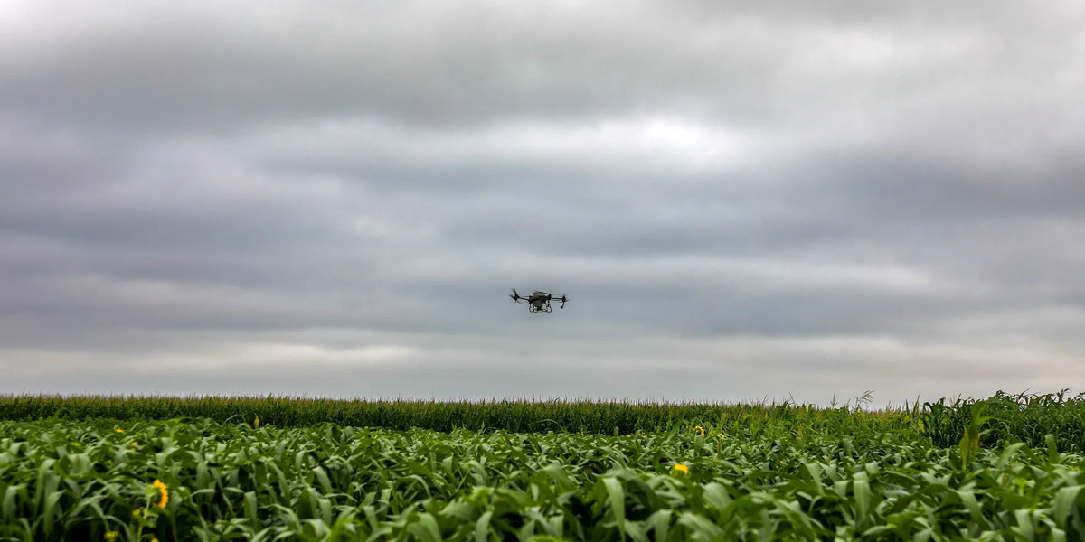 How to Successfully Drone Seed a Cover Crop