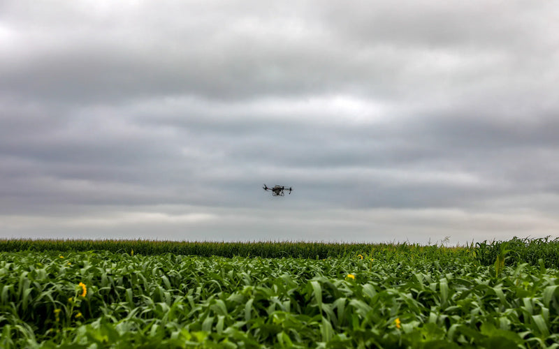 How to Successfully Drone Seed a Cover Crop