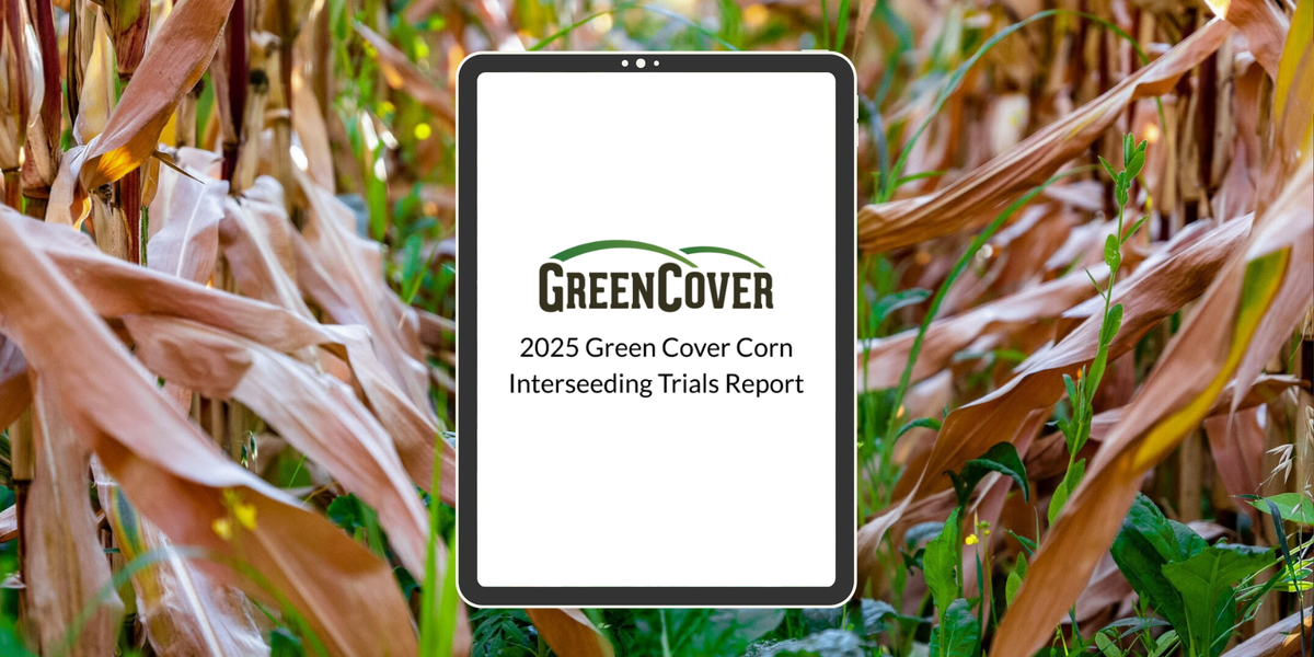 Our 2025 Corn Interseeding Trials Report is Here!