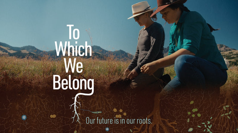 To Which We Belong