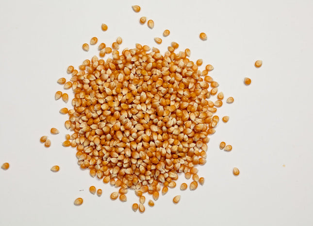 Grazing Popcorn (Non-GMO)