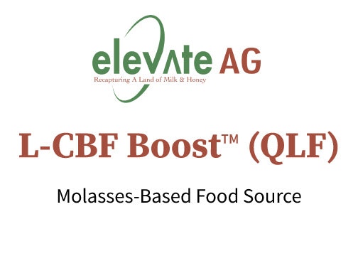 L-CBF Boost™ (QLF)