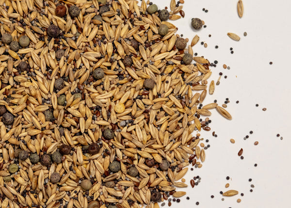 Cool Season Pig/Chicken Mix
