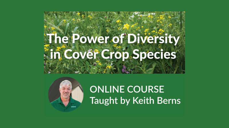 The Power of Diversity in Cover Crop Species