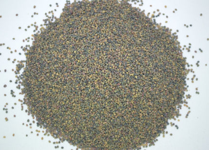Aberlasting Kura/White Clover - OMRI Inoculated