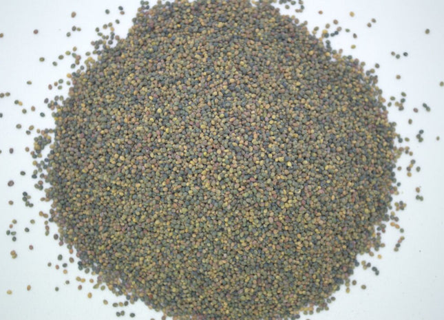 Aberlasting Kura/White Clover - OMRI Inoculated