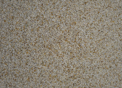 Timothy Grass (Climax)