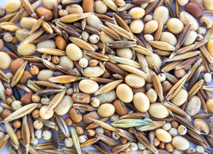 Stockpile Grazing Mix
