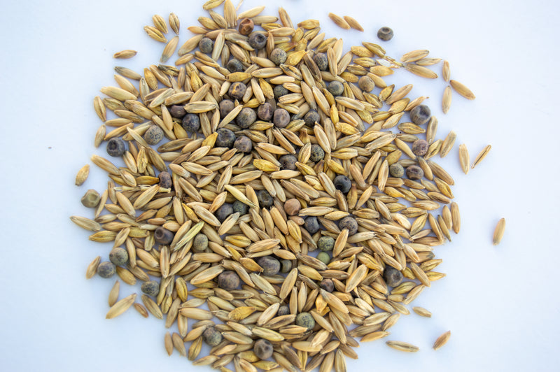 Spring Trio (Oats/Peas/Barley)
