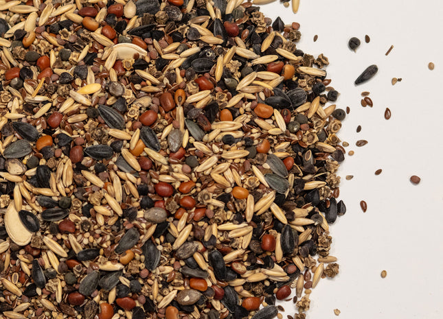 Family Matters Mix (10+ Families)