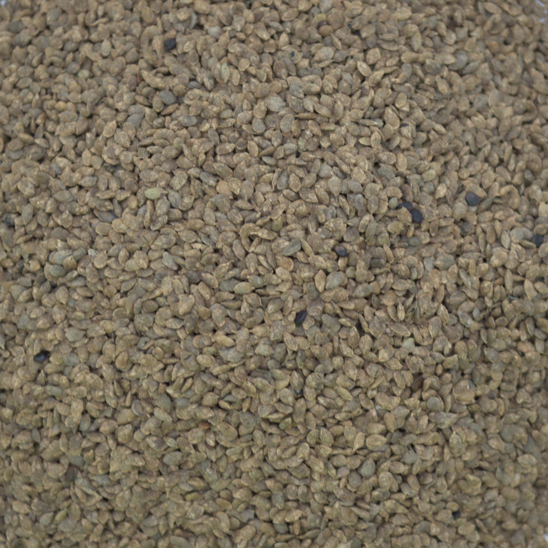 planting lespedeza seed Korean Lespedeza – Green Cover