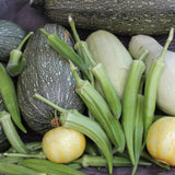 Milpa Garden First Acre Program