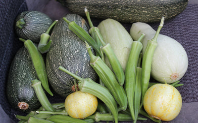 Milpa Garden First Acre Program