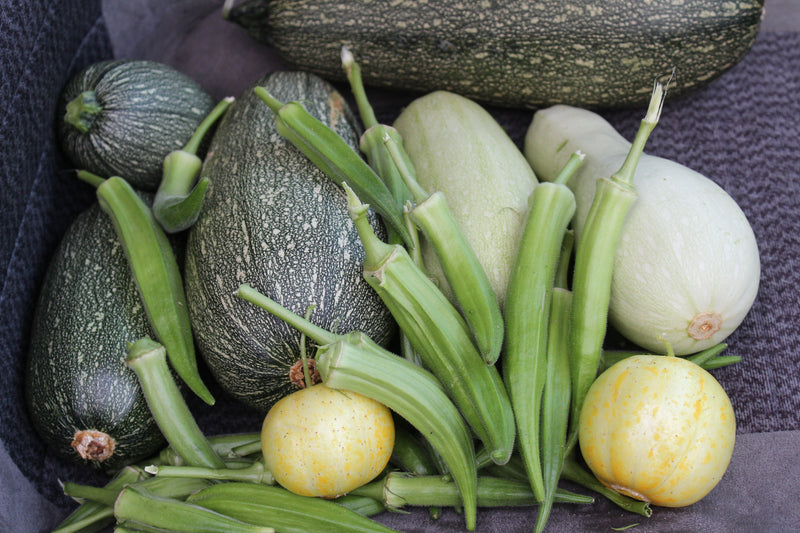 Milpa Garden First Acre Program