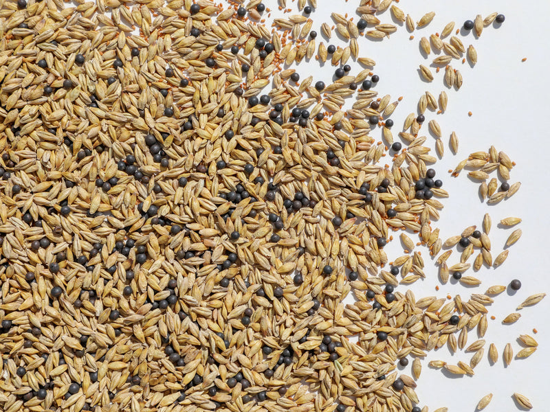 Pre-Corn Mix