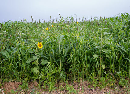 Game Bird Mix