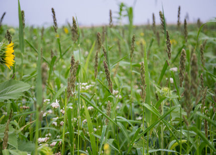 Game Bird Mix
