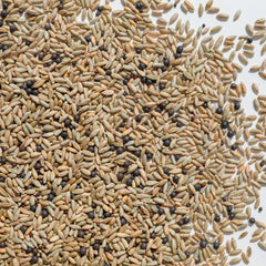 Soil Armor Mixes