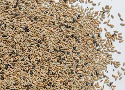 Winter Soil Armor