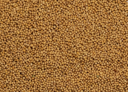 White Mustard (Action)