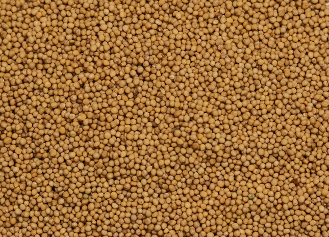 White Mustard (Action)