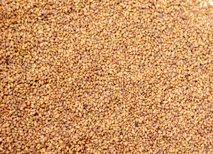 Alfalfa (MVS Majestic 425) - OMRI Inoculated