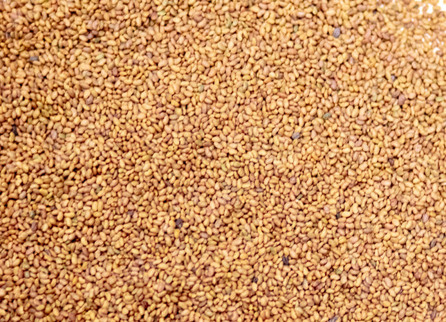 Alfalfa (MVS Majestic 425) - OMRI Inoculated