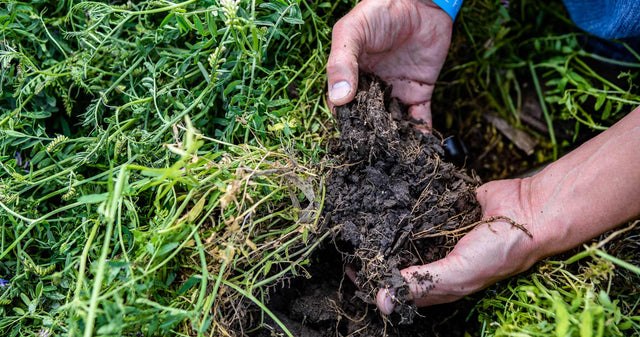 Build Your Soil