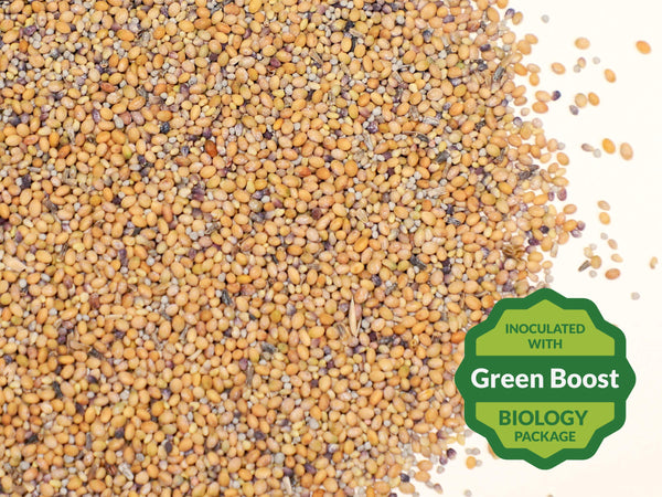 wildflower seeds frost Frost Seed Release – Green Cover