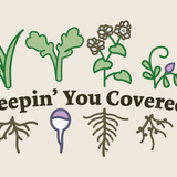 Keepin' You Covered Newsletter