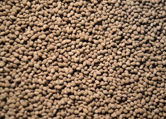 Red Clover (Q Medium) - OMRI Inoculated
