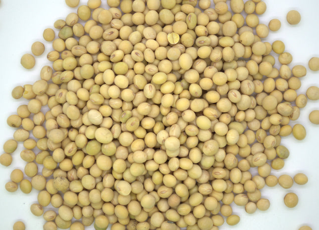 Non-GMO Soybeans (Hutchenson)