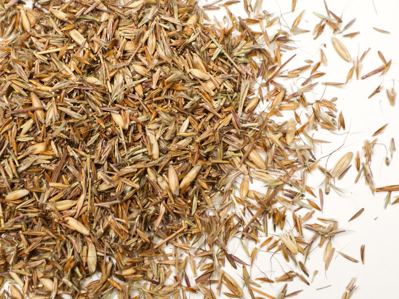 Osage Tallgrass Native Perennial Mix
