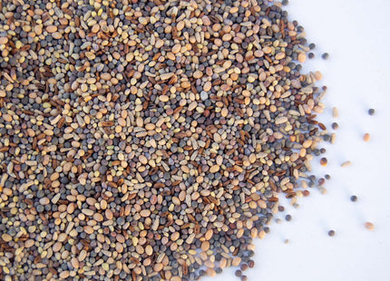 Pasture Frost Seed Mix