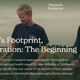 Regeneration: The Beginning