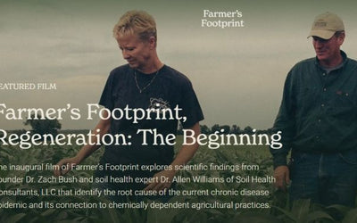 Regeneration: The Beginning
