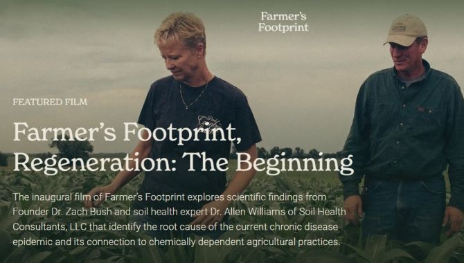 Regeneration: The Beginning