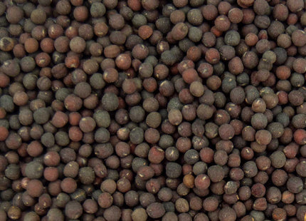 Siberian Kale
