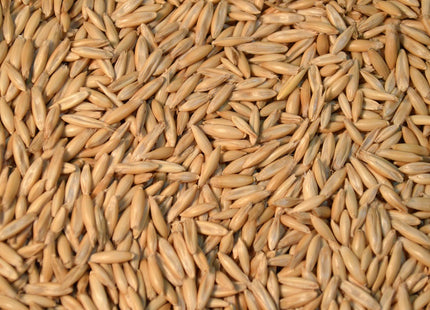 Spring Oats (Rushmore)
